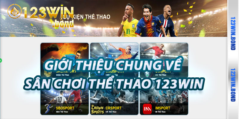 Giới Thiệu Chung Về Sân Chơi Thể Thao 123win